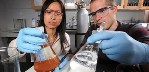 Top global health schools: A primer