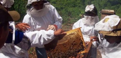 ‘At some point, the country has to look for new options’