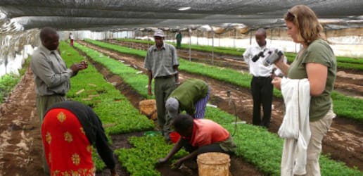 A (development) business revolution, thanks to social entrepreneurs