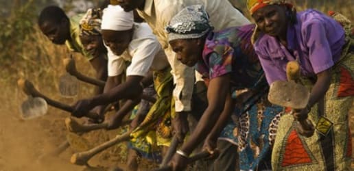 The blindest blind spot: What effective collaboration lacks