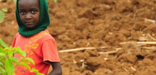 4 traits the world's poorest share, and what that tells us about addressing hunger