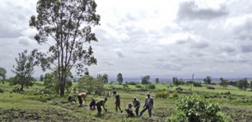 How to use land sustainably