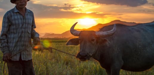 Economic development and rural land rights