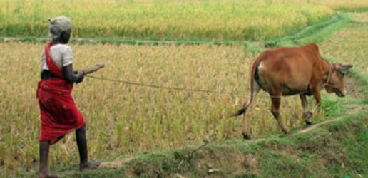 Why #landmatters for economic development