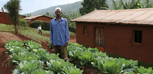 How to resolve land conflicts