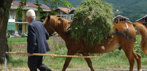 Taking ethnicity out of property rights