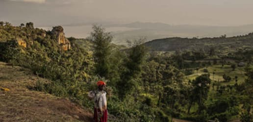 Why strong land rights promote transparency