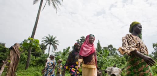 Land information: To be or not to be transparent