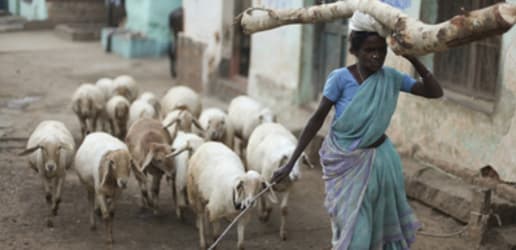 Who owns nature? A case study from Kenya