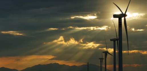 The development crisis behind Mexico's green revolution