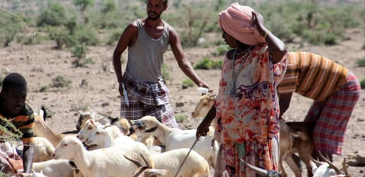 What you need to know about European climate finance