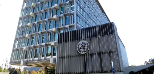 Opinion: WHO executive board meetings must be driven by inclusion and collaboration