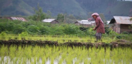 An ounce of prevention  