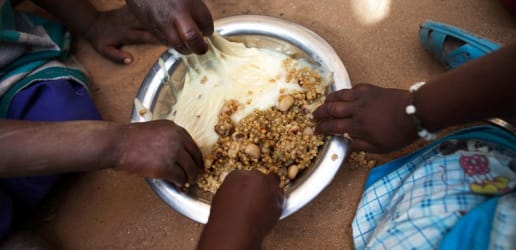 Ending hunger and malnutrition: How to leverage partnerships that work