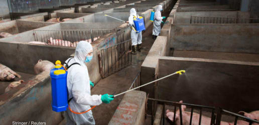 Opinion: It's time for leaders to tackle another deadly viral disease