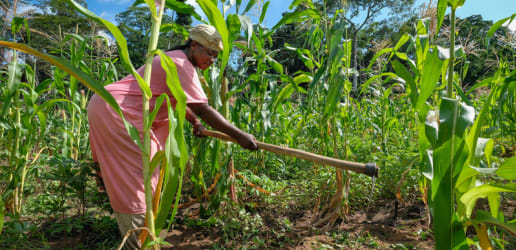Opinion: How women can transform African agriculture — and the economy 