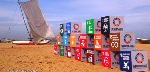 Does global development have an SDG talent gap?