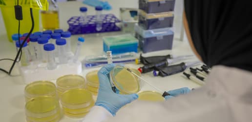 Opinion: Global solidarity key to tackling superbugs