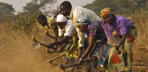 What it will take to end food waste