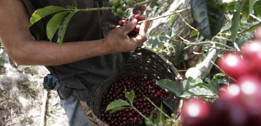 In search of common ground on sustainable agriculture