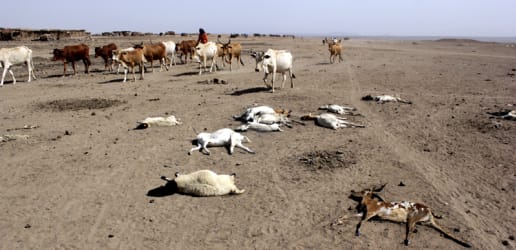 No ordinary year in Ethiopia: It's a 'code red' and must be treated like one