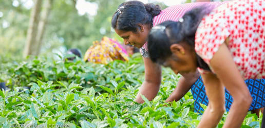 Opinion: These are urgent steps to invest in a climate-smart future