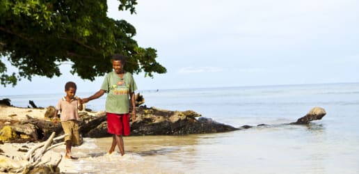 Steady funding, strategic planning key to continued malaria progress