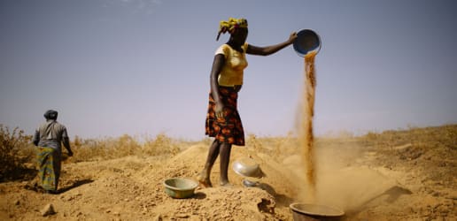 6 ways to adapt legal frameworks for effective natural resources management