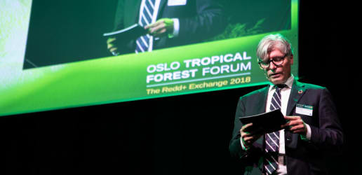 What you need to know from the Oslo Tropical Forest Forum