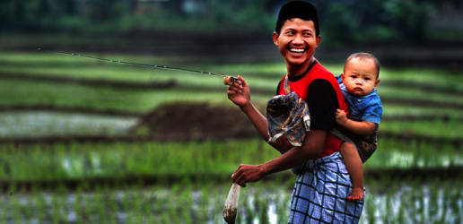 From global commitments to local action: Revitalizing Indonesia's family planning program