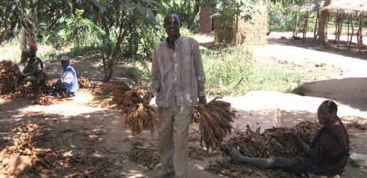 Opinion: Can tobacco companies contribute to development outcomes?