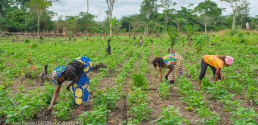 Opinion: Wanted — women’s empowerment guidelines to fight food crisis