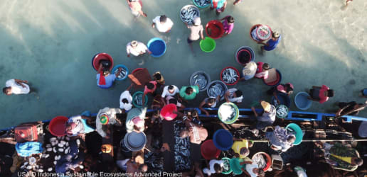 Opinion: Race to the bottom? How science drives sustainable fisheries