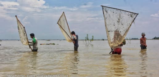 Opinion: Existing climate strategies ignore fisheries at our peril
