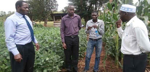 The 'unlikely hero' that transforms lands and livelihoods in Uganda