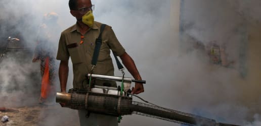 Opinion: Combatting the deadliest animal on Earth