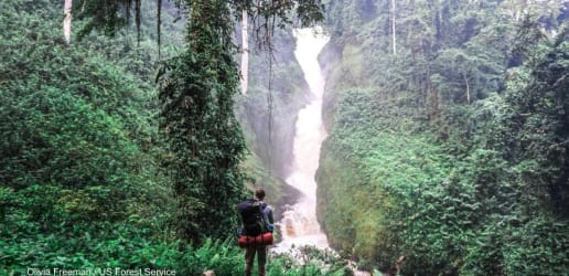 Gabon plans to become a green superpower by harnessing its rainforest
