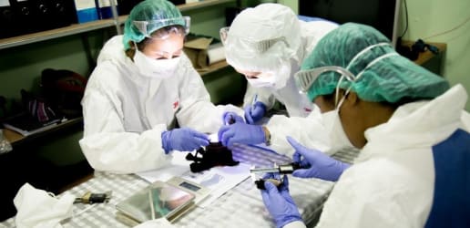 Opinion: Why development matters