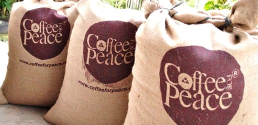 The convergence of peace and capitalism