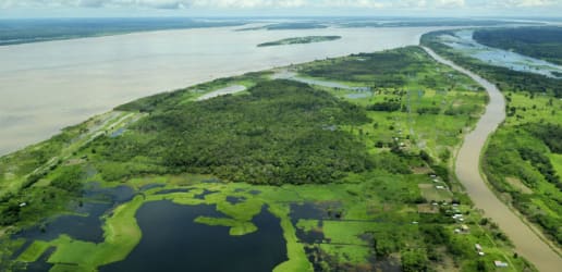 Opinion: We can do better to achieve zero deforestation and low-carbon development