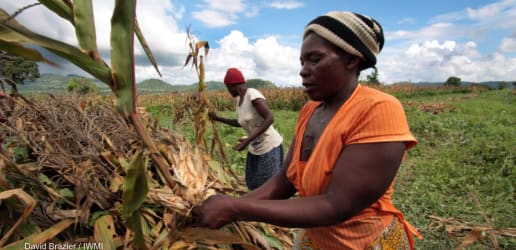 Small farmers say they're overlooked in climate talks