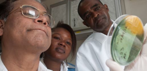 Time for decisive action on antimicrobial resistance