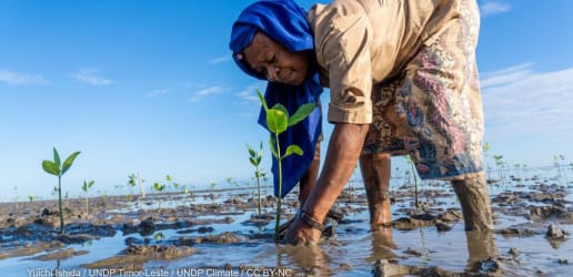 Opinion: How climate financing for the developing world will help all