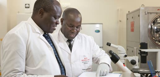 Innovating for a malaria-free Africa