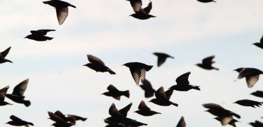 Opinion: How to nurture great leaders in global development