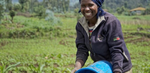 Envisioning agriculture as a business for youth in Africa 