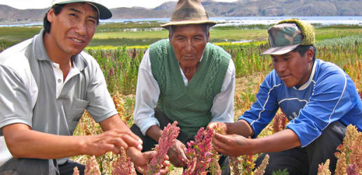 10 'micro' tips for the buyer-led approach to fighting poverty