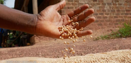 Opinion: The private sector needs food security reporting standards 