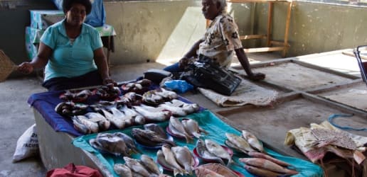 Opinion: Now is the time for 'big ocean states' to build back bluer