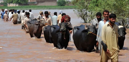 Wanted: A plan of action on climate migration